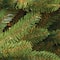 7ft. Pre-Lit Dunhill® Fir Full Artificial Christmas Tree, Clear Lights